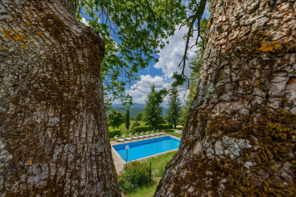 Agriturismo Casapasserini Londa Exterior photo